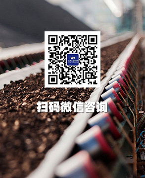 高精度皮带秤